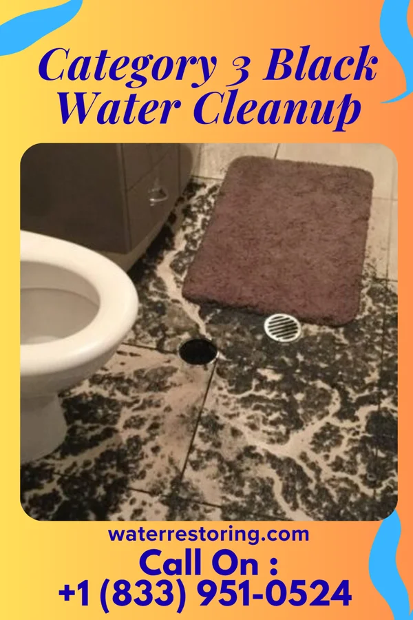 Category 3 Black Water Cleanup in Edgemere, MD
