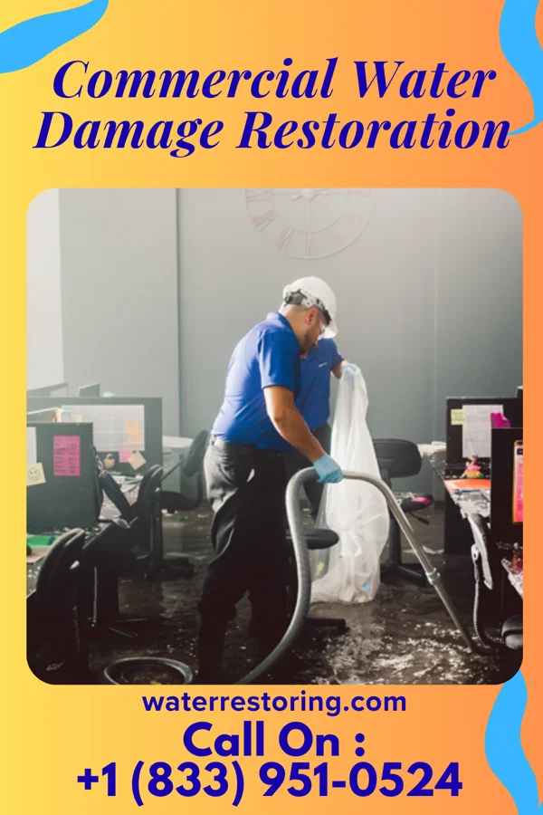 Commercial Water Damage Restoration in Edgemere, MD
